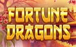Fortune Dragons
