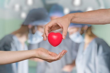A Guide to Organ Donation in Australia