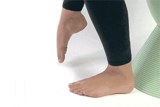  Ankle Rotations