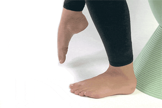 Ankle Rotations Ankle Rotations