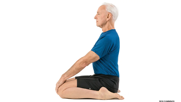 Virasana (Hero Pose) Virasana (Hero Pose)