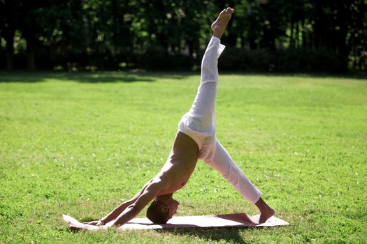 Eka Pada Adho Mukha Svanasana (Single Leg Downward Facing Dog)