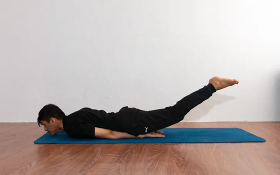 Salabhasana (Locust Pose) Salabhasana (Locust Pose)
