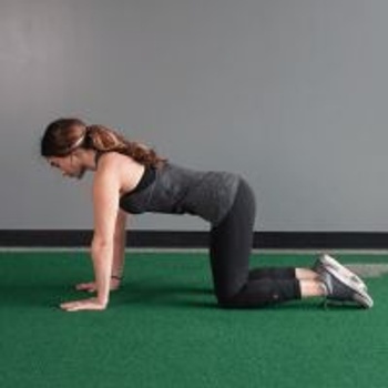 Bitilasana Marjaryasana (Cat+Cow Pose) Bitilasana Marjaryasana (Cat+Cow Pose)