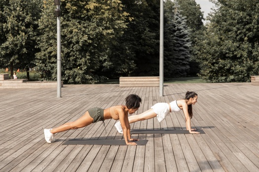 Phalakasana (Plank Pose) Phalakasana (Plank Pose)
