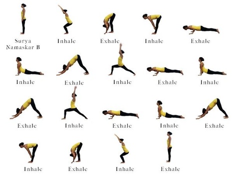Plank Pose Four Limbed Staff Pose Flow Yoga (Phalakasana Chaturanga  Dandasana Vinyasa), Yoga Sequences, Benefits, Variations, and Sanskrit  Pronunciation