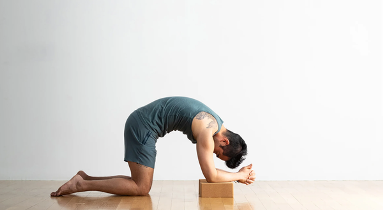 Cat Pose on forearms with yoga blocks