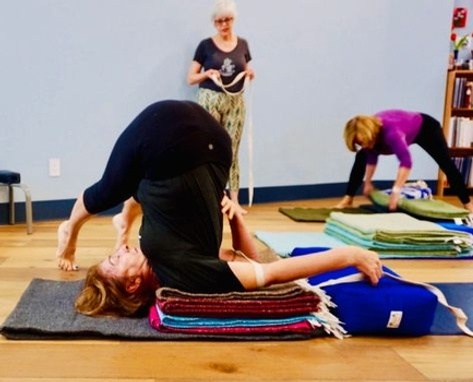 Parsva Halasana (Side Plow Pose) 