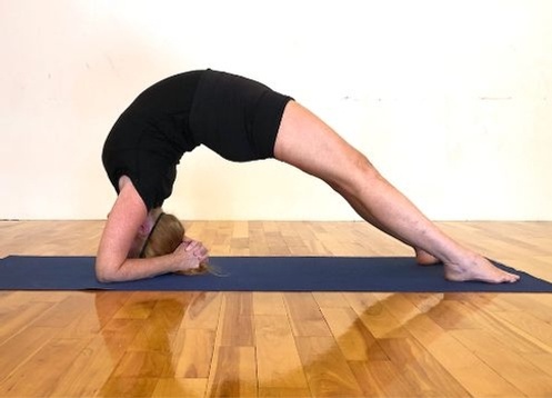 Two-legged Inverted Staff Pose
