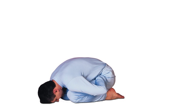 Bow Down Yoga Mudra Bow Down Yoga Mudra