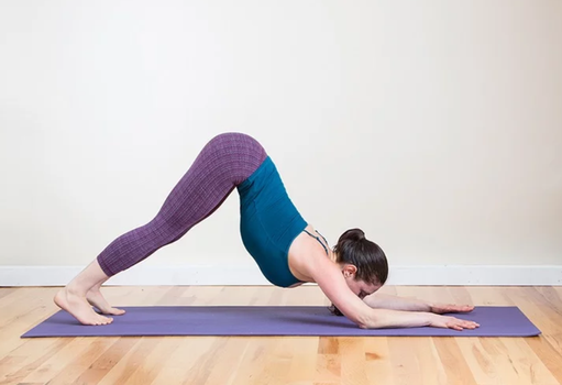 Adho Mukha Svanasana (Downward-Facing Dog Pose) - Yoga Asana