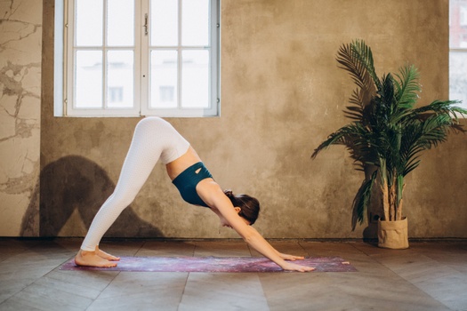 Adho Mukha Svanasana (Downward Facing Dog Pose)