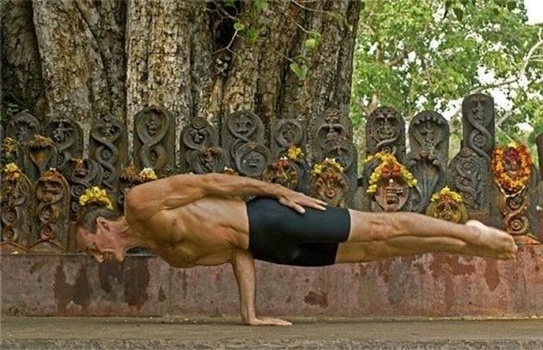 Pungu Mayurasana (Wounded Peacock Pose)