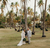 wedding photos in a field filled with palm trees