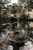 happy couple kissing on a boat in a river surrounded by the forest 
