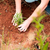 lady planting a fern tree in the soil