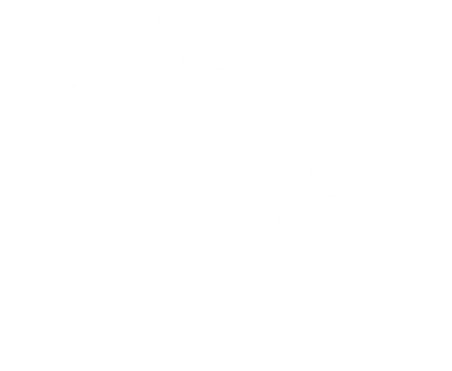 powertofly