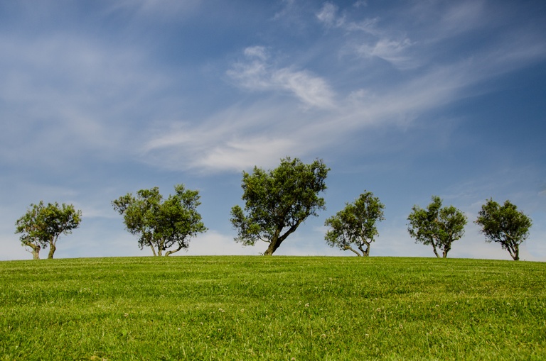 how-much-does-probate-cost-in-nsw-in-2021