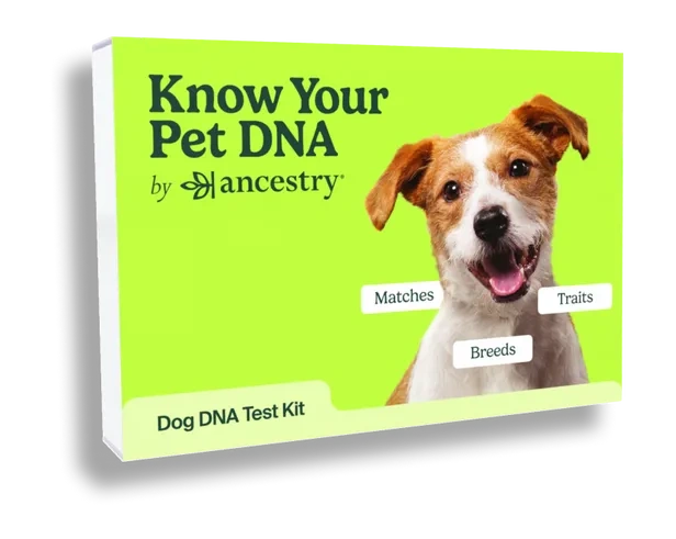 Dog sales dna ancestry