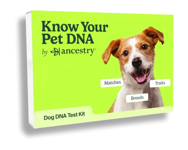 Dog breed dna sale