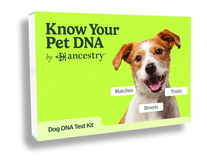 DNA Test Kits: Receiving Your Tests and Preparing Samples - Family Rambling