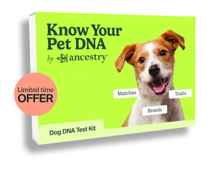 Doggie dna sale test kits