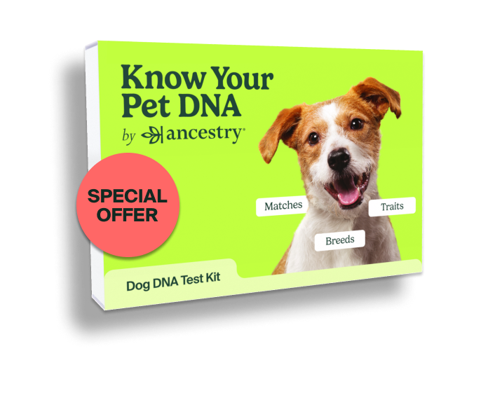 Dog DNA Test Kit Know Your Pet DNA by Ancestry®