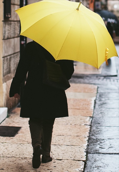 Umbrella Variety: Styles for Every Need