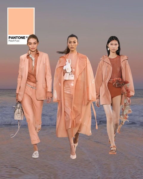 Pantone Color of the Year (2024 Peach Fuzz)