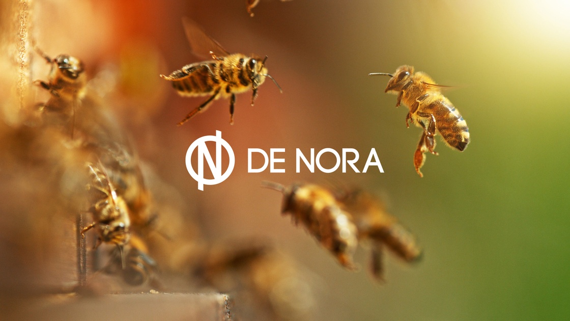 De Nora Updates | De Nora