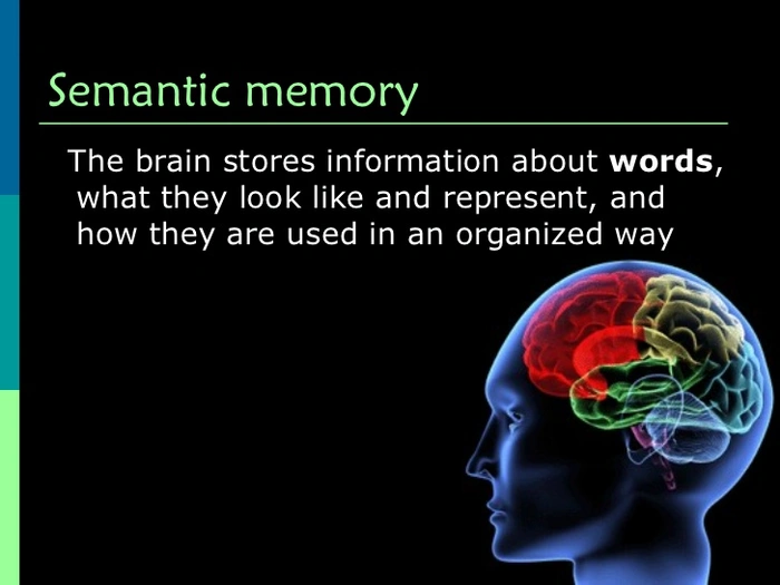 Semantic Memory cover image