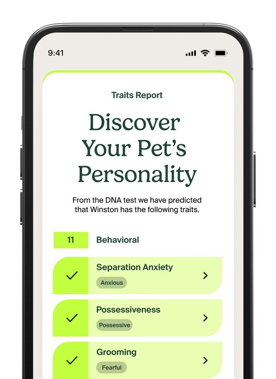 Dog Traits Know Your Pet DNA by Ancestry®