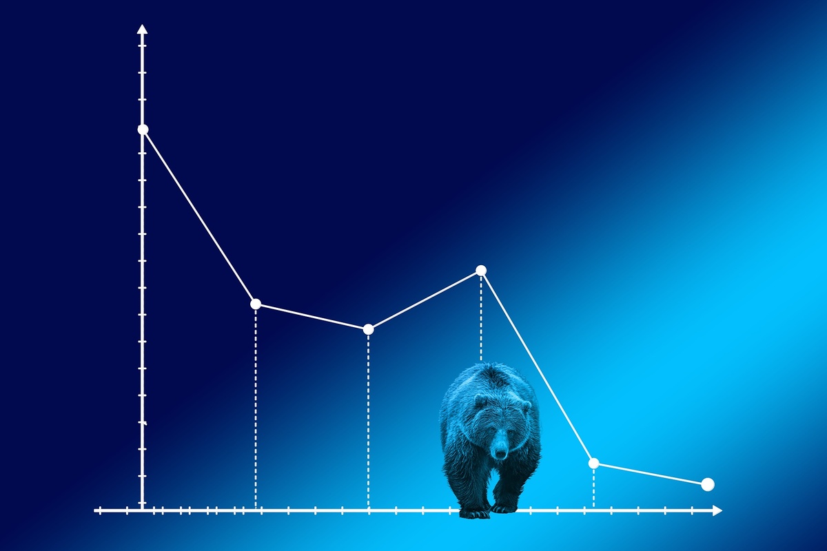 How to survive the crypto bear market