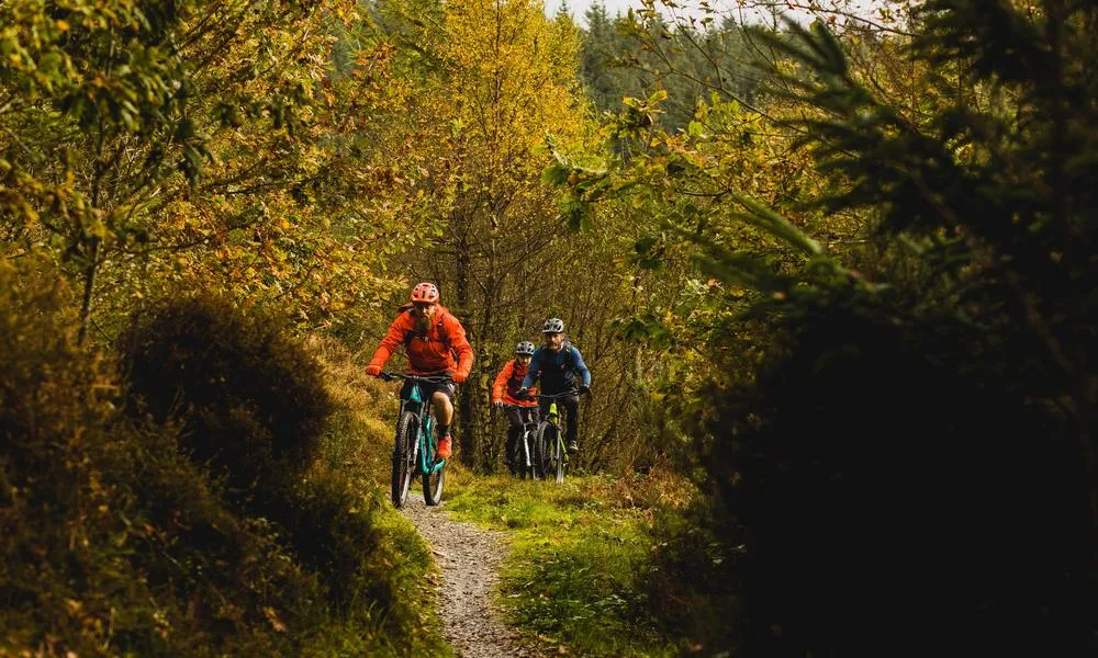 Three MTB riders climbing a trail