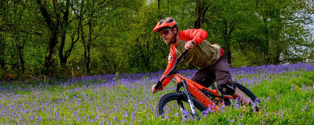 mountain biker riding specialized level sl downhill through a field of bluebells