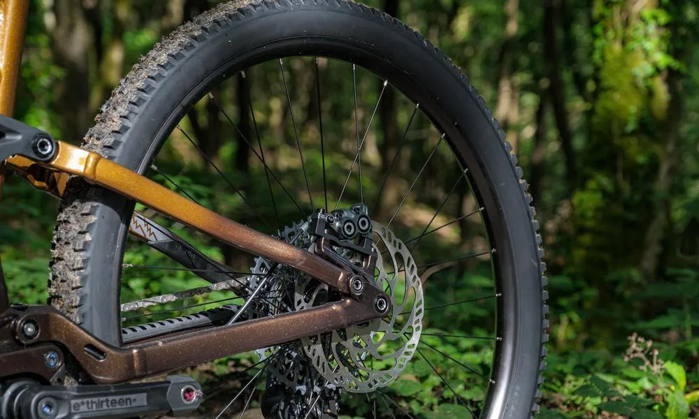 mountain bike rear wheel in the woods