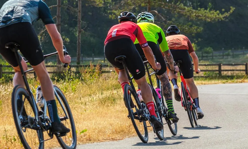 four road cyclists sitting in the saddle 