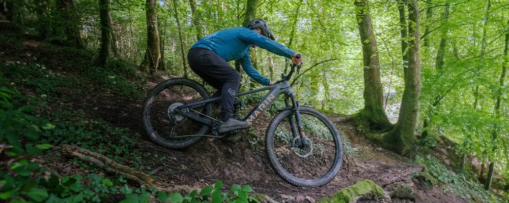 Riding a Marin Electric Bike in the Woods