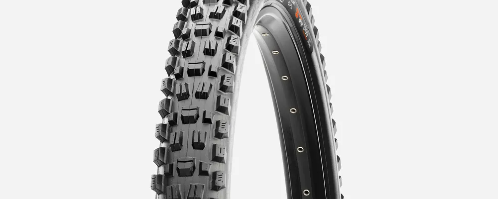 Maxxis assegai 29 tyre