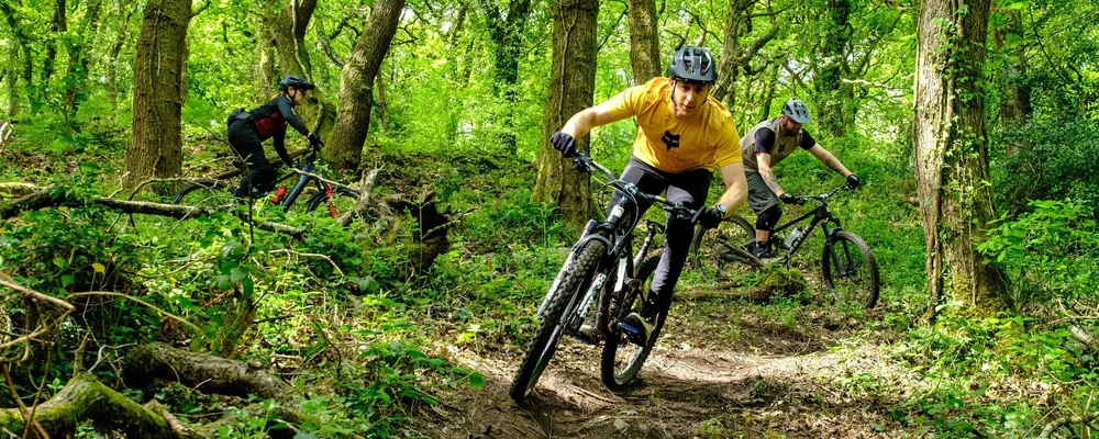 3 mountain bikers riding trails in the woods