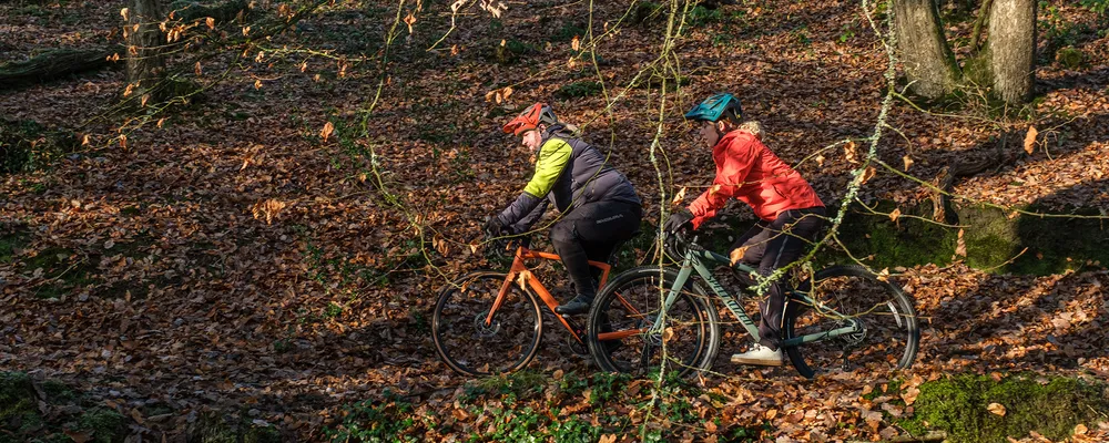 gravel bikes are ridden through the woods