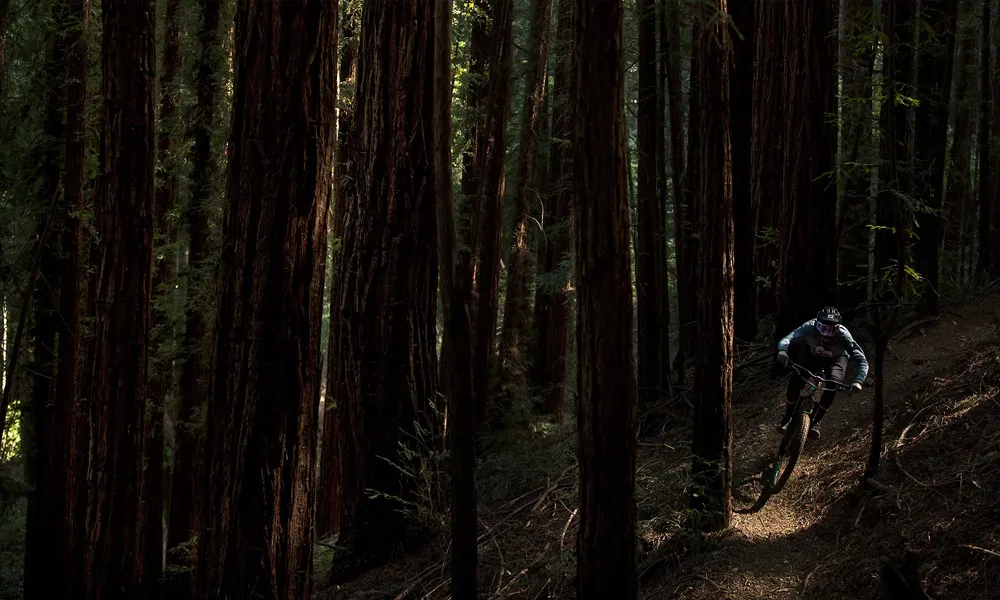 mountain biker on trail through the woods