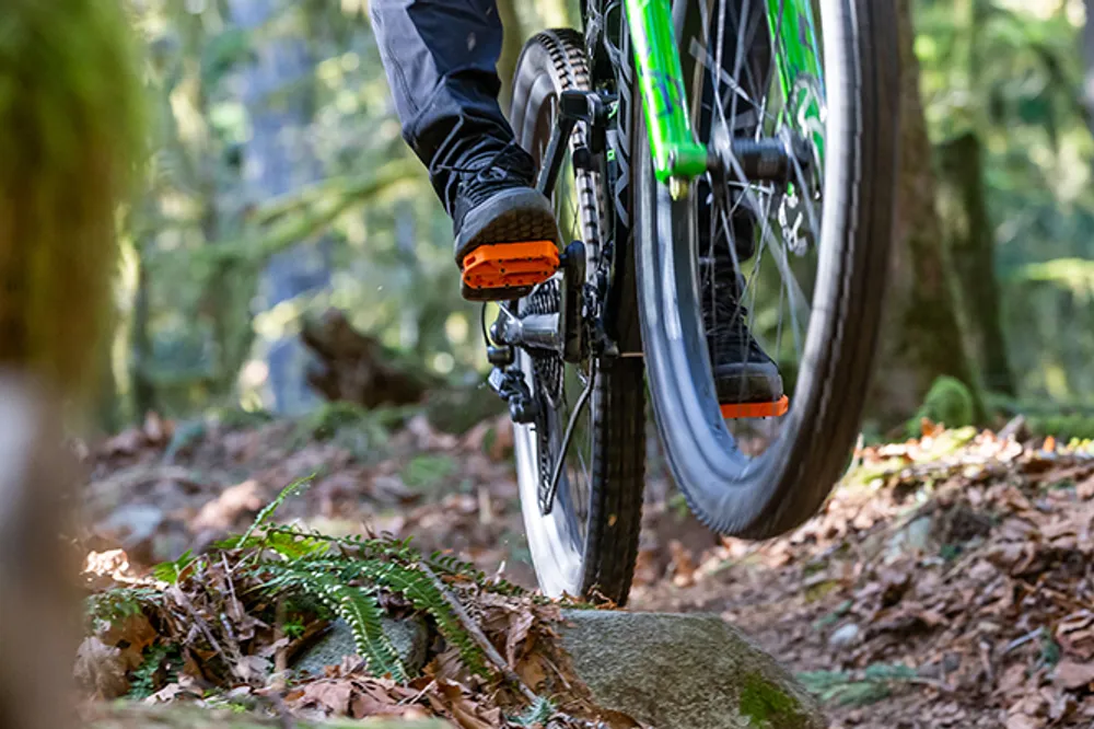 mountain bike in woods with orange sdg pedals