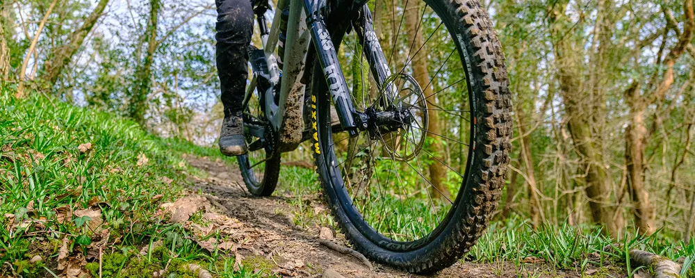 Best tyres for mtb on sale