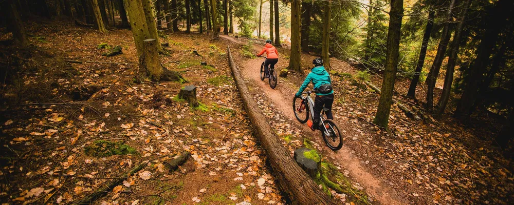 Two MTB riders on a trail riding through the woods