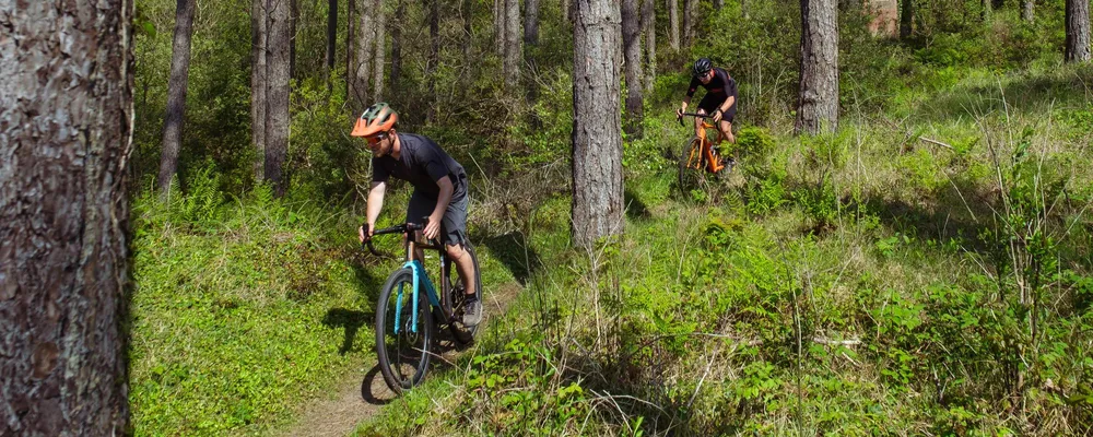 riding gravel bikes through the woods on a summer day