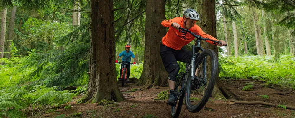 mountain bikers riding in the woods