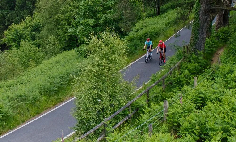 two road cyclists riding past green trees and bushes