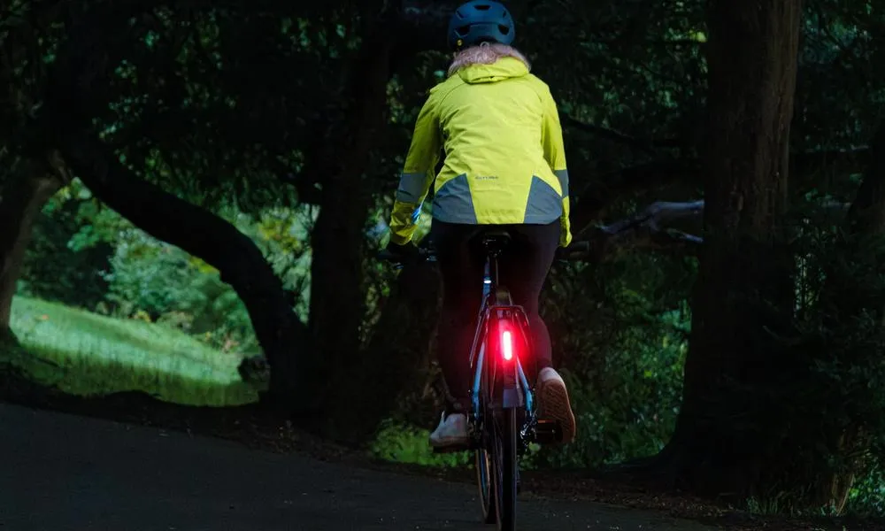 Cycling through the park at night with rear bike light