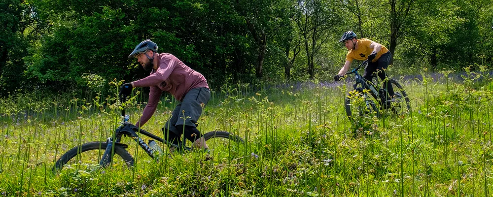 Mountain bikes are ridden through long grass